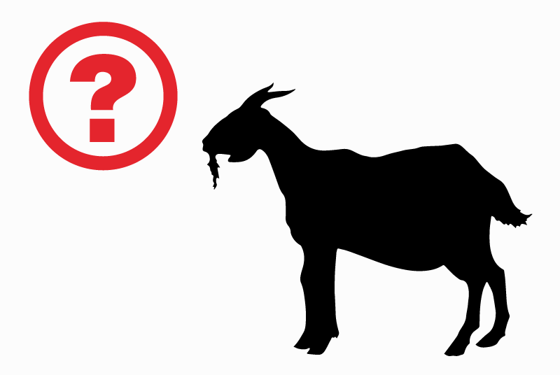 Alerte Disparition Chèvre Mâle , 2022 ans Lannux France Alerte Disparition Chèvre Mâle , 2022 ans Lannux France
